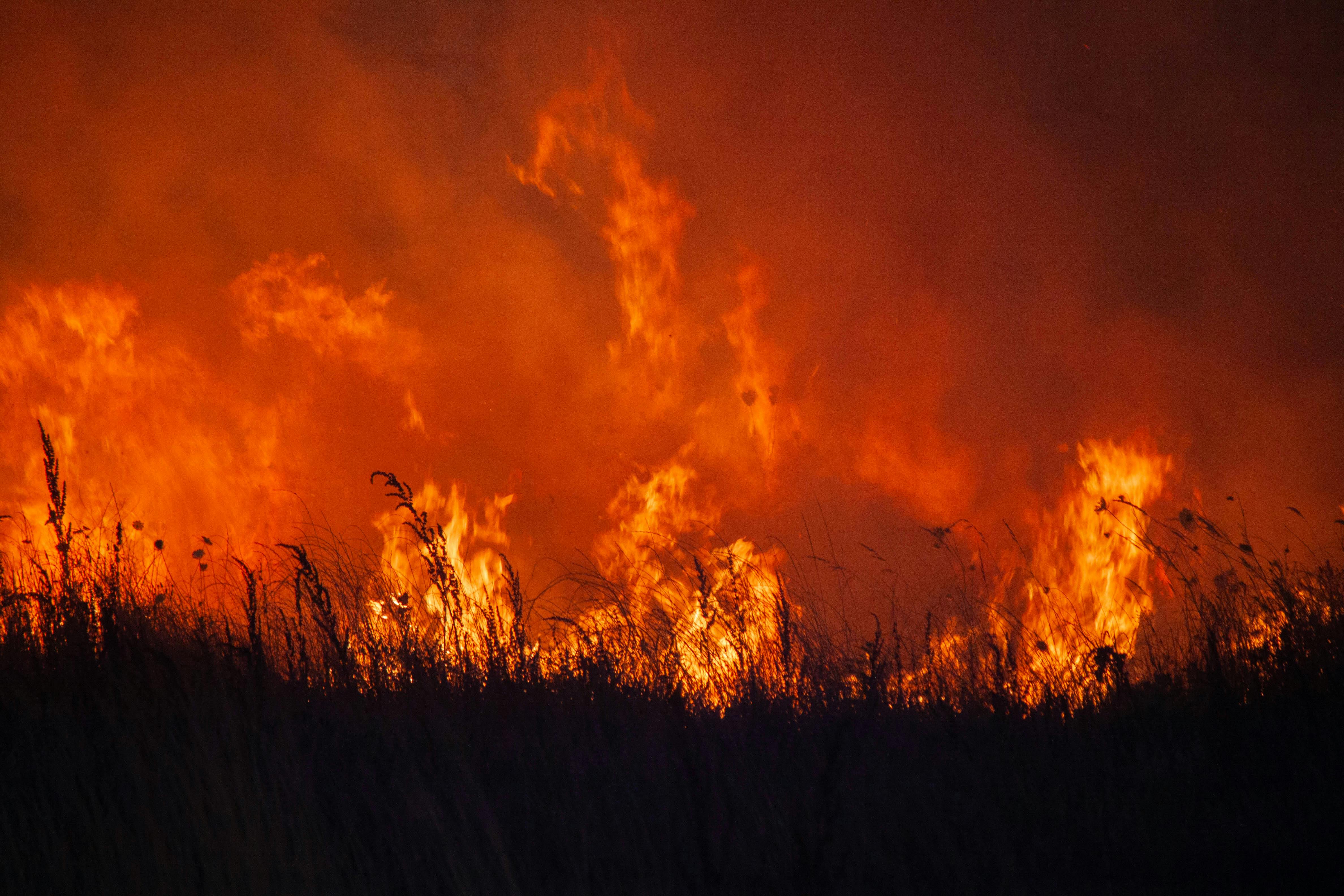 Bild zum Klimawandel